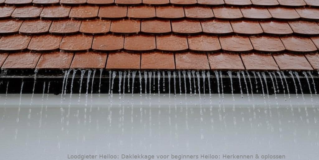 Daklekkage voor beginners Heiloo: Herkennen & oplossen