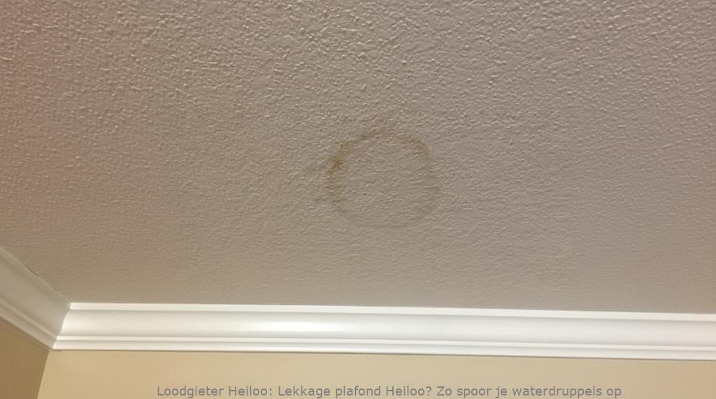 Lekkage plafond Heiloo? Zo spoor je waterdruppels op