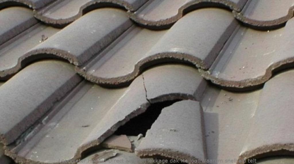 Direct actie bij lekkage dak Heiloo: Waarom snelheid telt