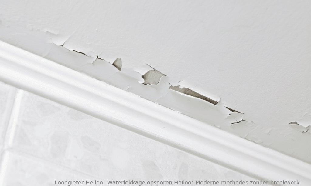 Waterlekkage opsporen Heiloo: Moderne methodes zonder breekwerk